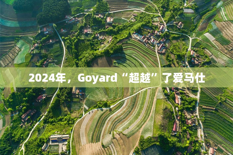 2024年，Goyard“超越”了爱马仕