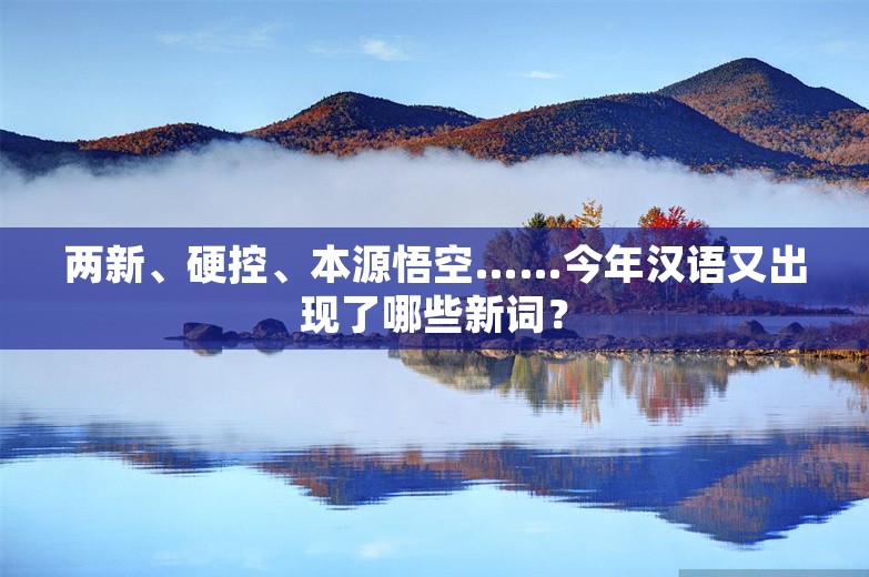 两新、硬控、本源悟空……今年汉语又出现了哪些新词？