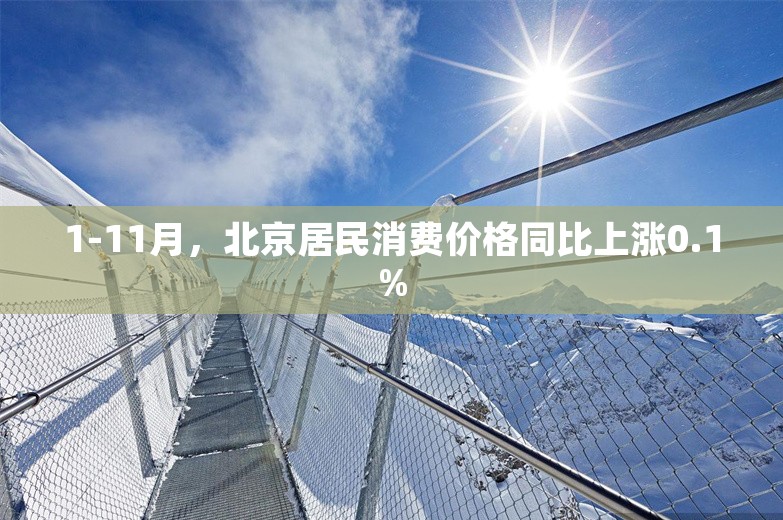 1-11月，北京居民消费价格同比上涨0.1%