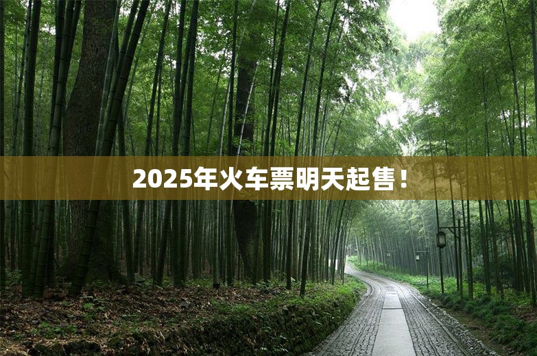 2025年火车票明天起售！