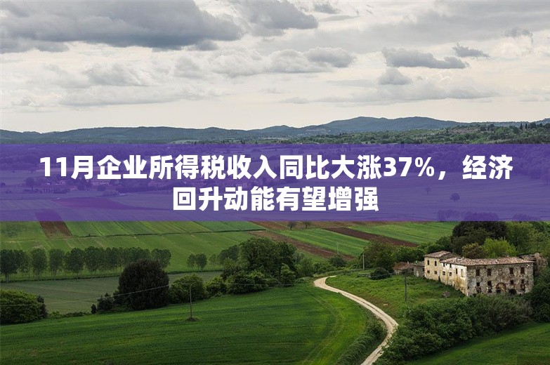 11月企业所得税收入同比大涨37%，经济回升动能有望增强