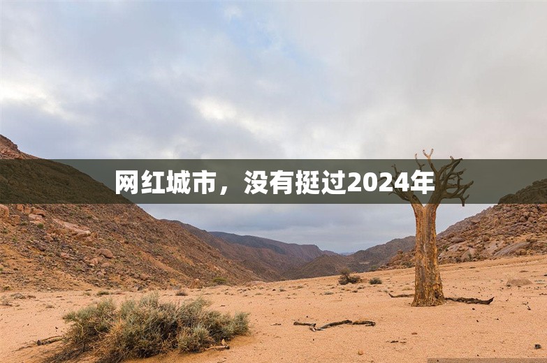 网红城市，没有挺过2024年