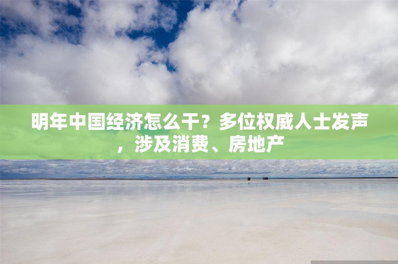 明年中国经济怎么干？多位权威人士发声，涉及消费、房地产