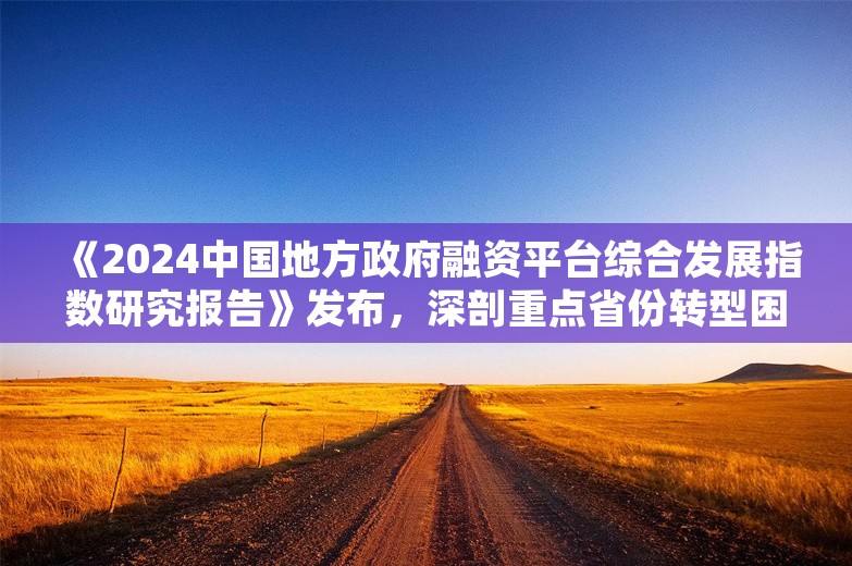 《2024中国地方政府融资平台综合发展指数研究报告》发布，深剖重点省份转型困境和市县平台突围之路