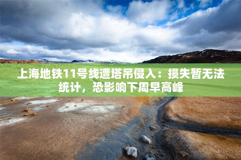 上海地铁11号线遭塔吊侵入：损失暂无法统计，恐影响下周早高峰