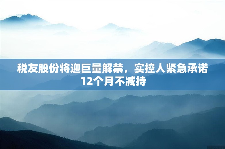 税友股份将迎巨量解禁，实控人紧急承诺12个月不减持