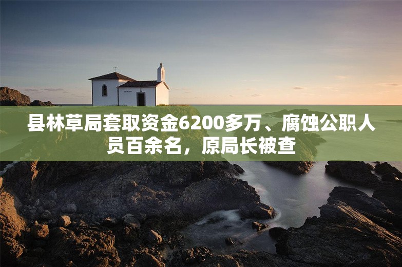 县林草局套取资金6200多万、腐蚀公职人员百余名，原局长被查