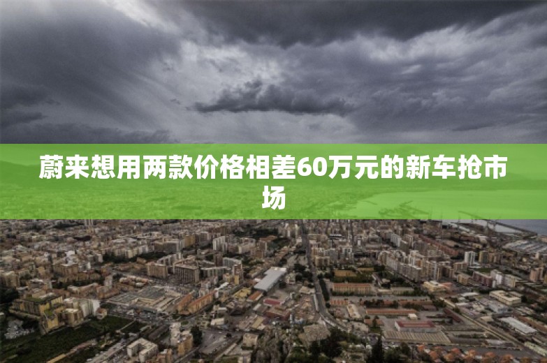 蔚来想用两款价格相差60万元的新车抢市场