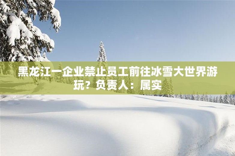 黑龙江一企业禁止员工前往冰雪大世界游玩？负责人：属实