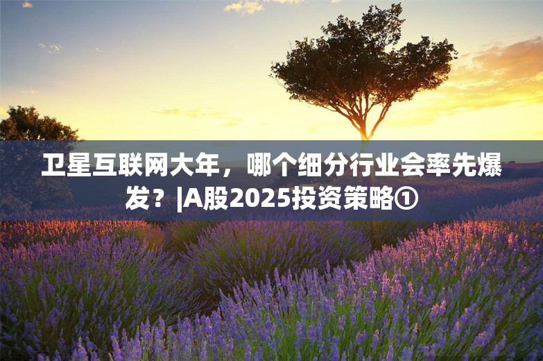 卫星互联网大年，哪个细分行业会率先爆发？|A股2025投资策略①