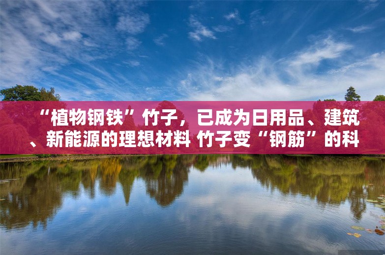 “植物钢铁”竹子，已成为日用品、建筑、新能源的理想材料 竹子变“钢筋”的科技密码