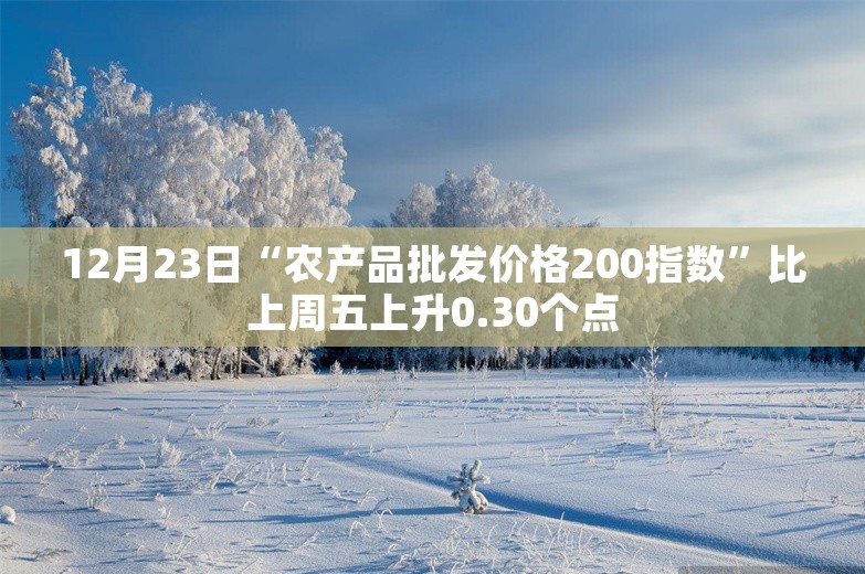 12月23日“农产品批发价格200指数”比上周五上升0.30个点