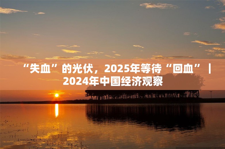 “失血”的光伏，2025年等待“回血”｜2024年中国经济观察