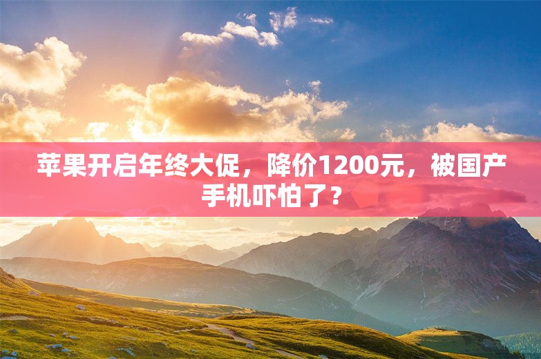 苹果开启年终大促，降价1200元，被国产手机吓怕了？