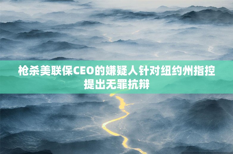 枪杀美联保CEO的嫌疑人针对纽约州指控提出无罪抗辩