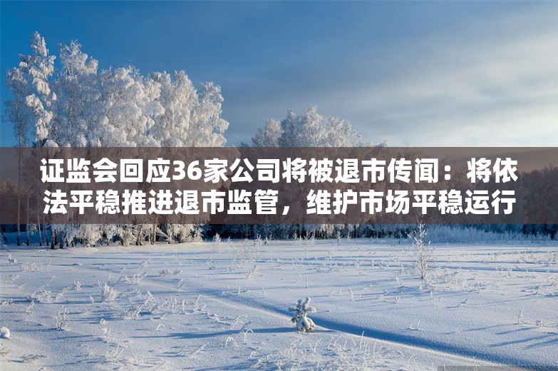 证监会回应36家公司将被退市传闻：将依法平稳推进退市监管，维护市场平稳运行