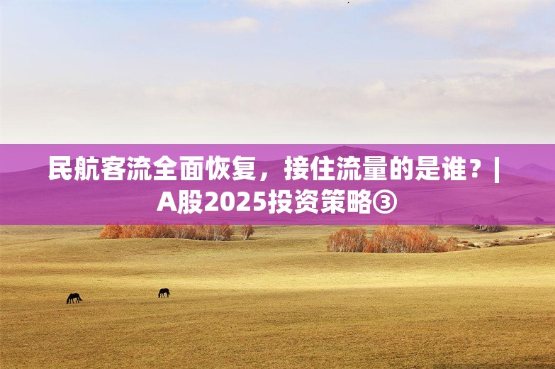 民航客流全面恢复，接住流量的是谁？| A股2025投资策略③