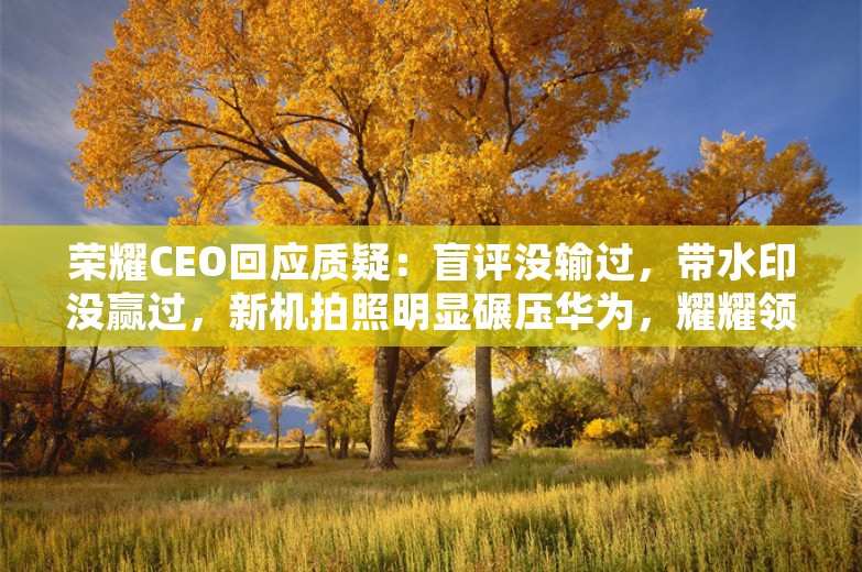 荣耀CEO回应质疑：盲评没输过，带水印没赢过，新机拍照明显碾压华为，耀耀领先；京东年终奖最高奖励达8倍月薪；贾跃亭造车又融到钱了丨雷峰早报