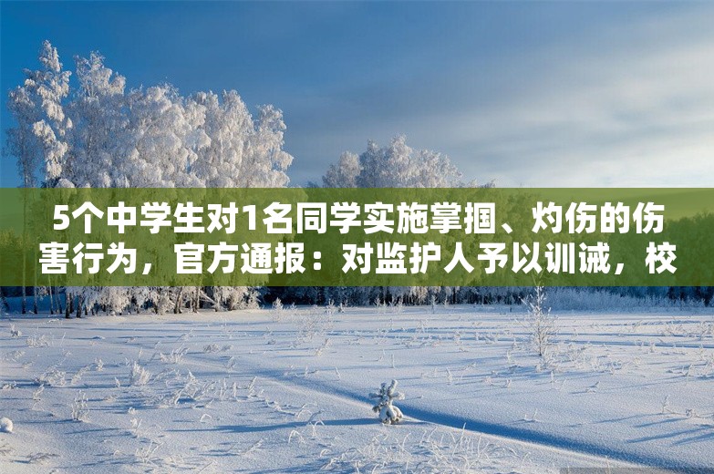 5个中学生对1名同学实施掌掴、灼伤的伤害行为，官方通报：对监护人予以训诫，校长、班主任停职！