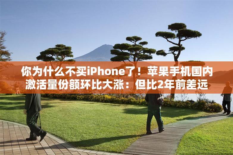 你为什么不买iPhone了！苹果手机国内激活量份额环比大涨：但比2年前差远