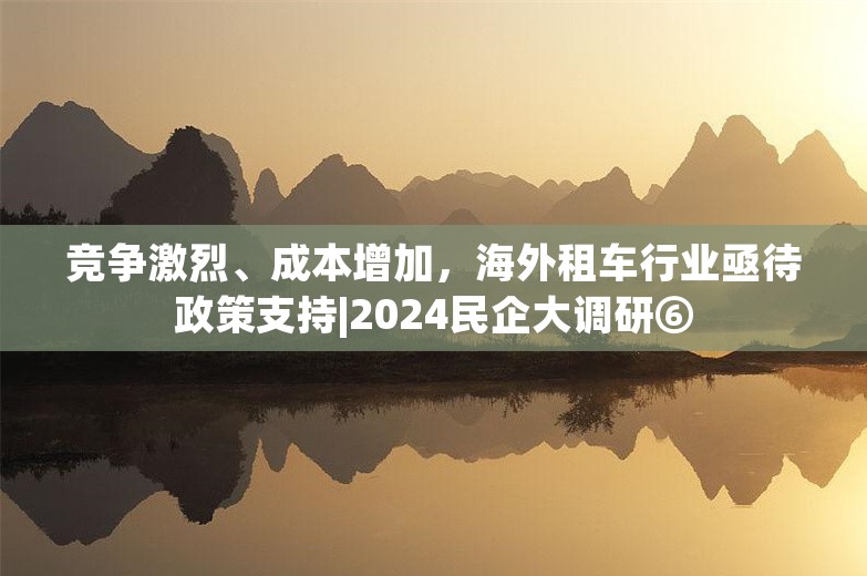 竞争激烈、成本增加，海外租车行业亟待政策支持|2024民企大调研⑥