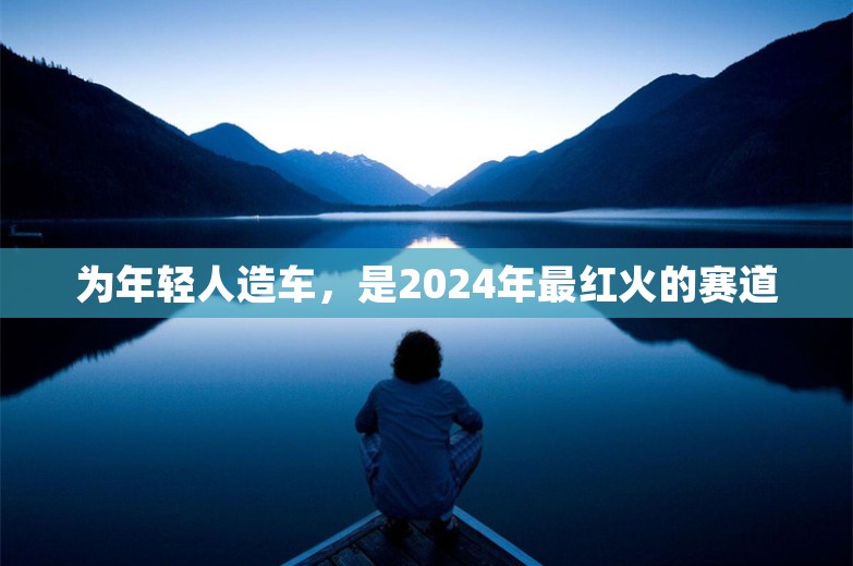 为年轻人造车，是2024年最红火的赛道