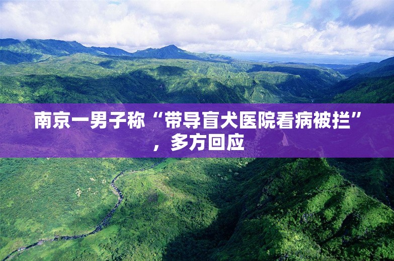 南京一男子称“带导盲犬医院看病被拦”，多方回应