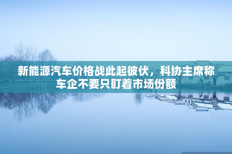 新能源汽车价格战此起彼伏，科协主席称车企不要只盯着市场份额