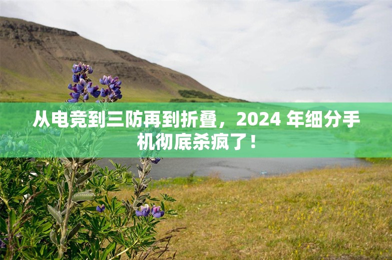 从电竞到三防再到折叠，2024 年细分手机彻底杀疯了！