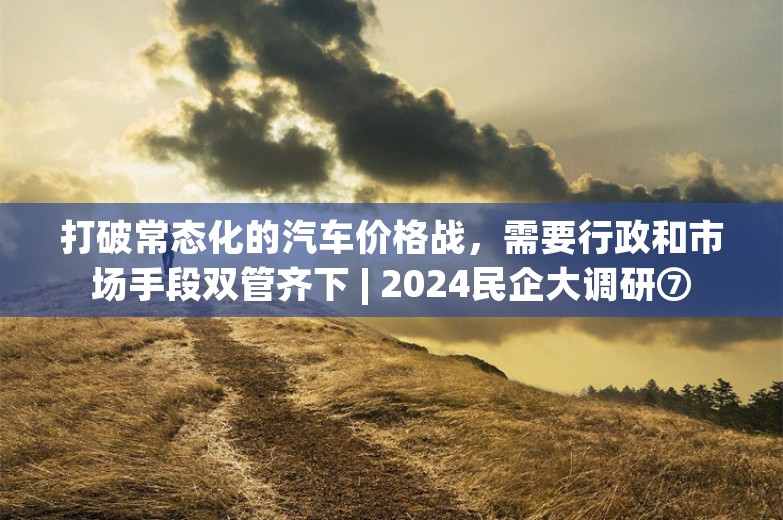 打破常态化的汽车价格战，需要行政和市场手段双管齐下 | 2024民企大调研⑦