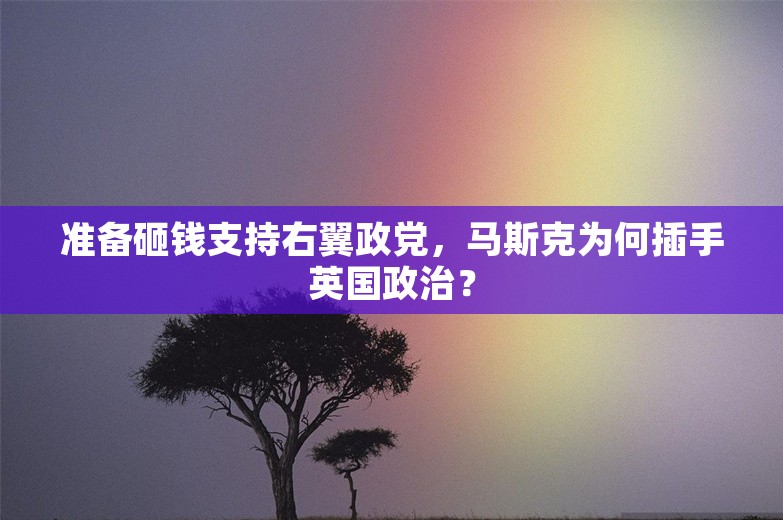 准备砸钱支持右翼政党，马斯克为何插手英国政治？