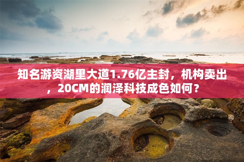 知名游资湖里大道1.76亿主封，机构卖出，20CM的润泽科技成色如何？