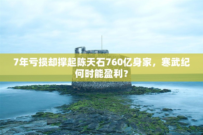 7年亏损却撑起陈天石760亿身家，寒武纪何时能盈利？