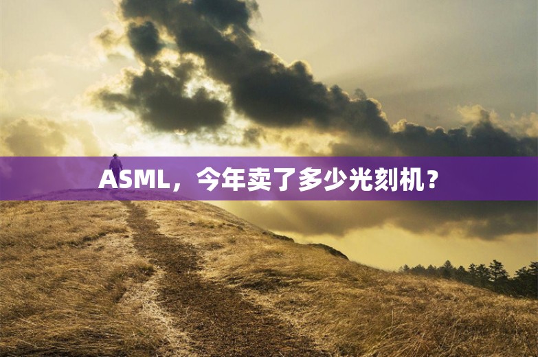 ASML，今年卖了多少光刻机？