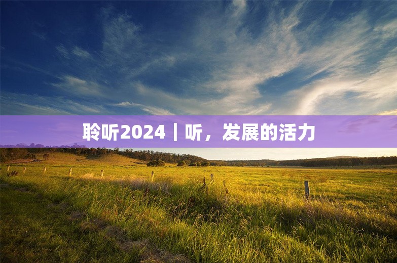 聆听2024｜听，发展的活力