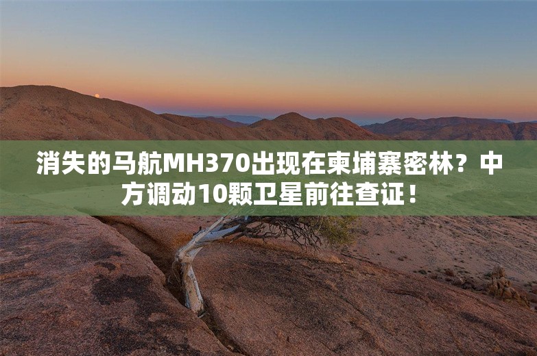 消失的马航MH370出现在柬埔寨密林？中方调动10颗卫星前往查证！