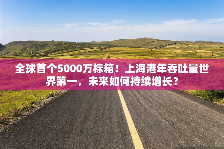 全球首个5000万标箱！上海港年吞吐量世界第一，未来如何持续增长？