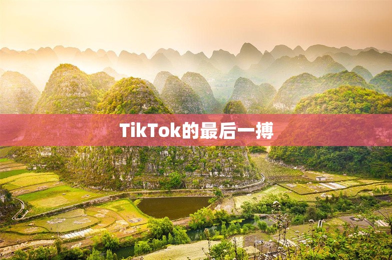 TikTok的最后一搏