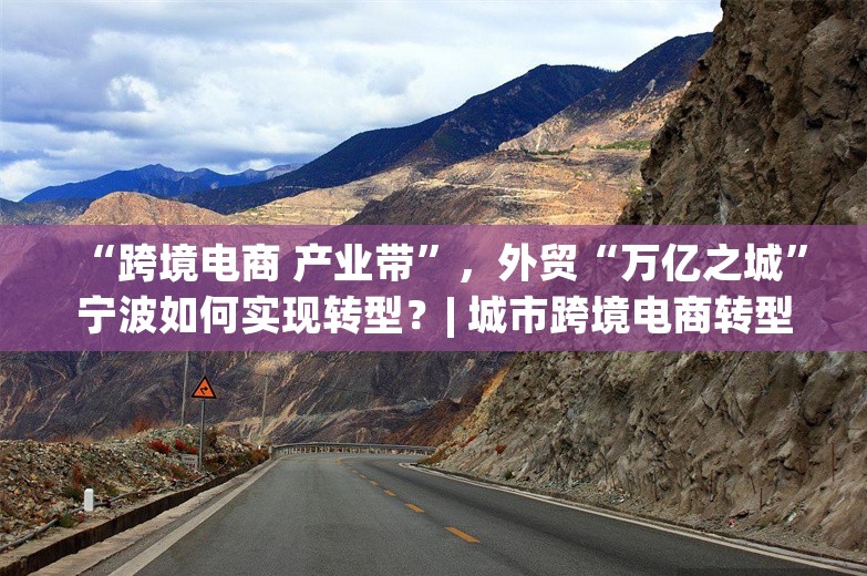 “跨境电商 产业带”，外贸“万亿之城”宁波如何实现转型？| 城市跨境电商转型案例库⑮