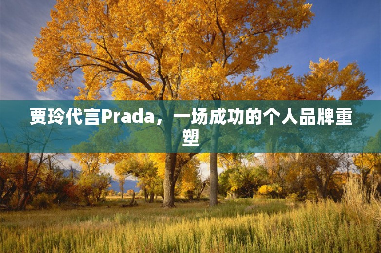 贾玲代言Prada，一场成功的个人品牌重塑