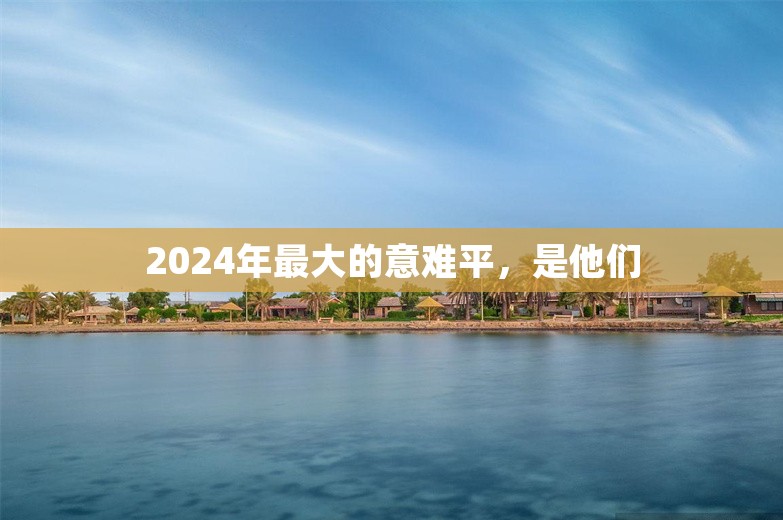 2024年最大的意难平，是他们