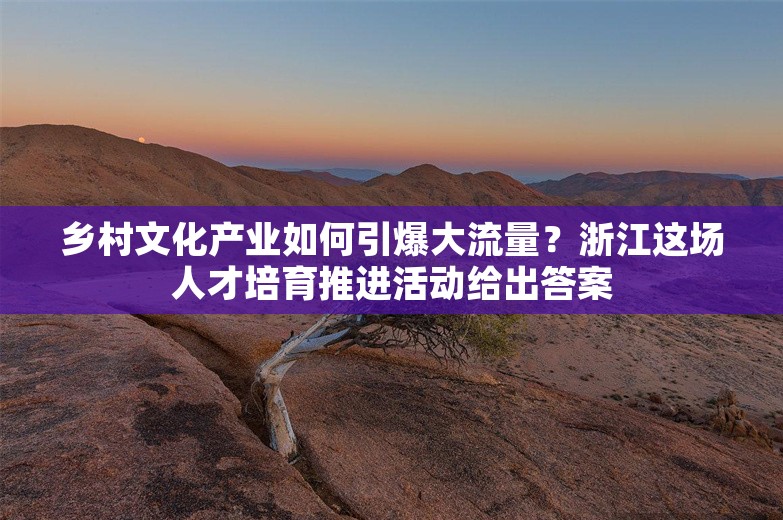 乡村文化产业如何引爆大流量？浙江这场人才培育推进活动给出答案