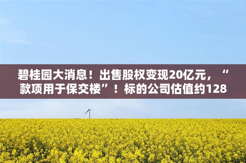 碧桂园大消息！出售股权变现20亿元，“款项用于保交楼”！标的公司估值约1282亿元，买方为合肥国资