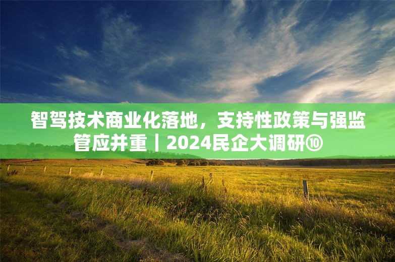 智驾技术商业化落地，支持性政策与强监管应并重｜2024民企大调研⑩