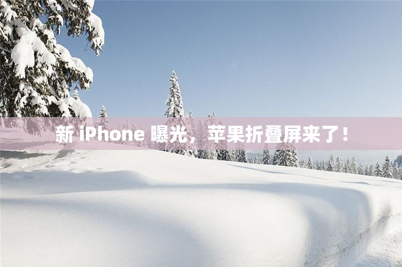 新 iPhone 曝光，苹果折叠屏来了！