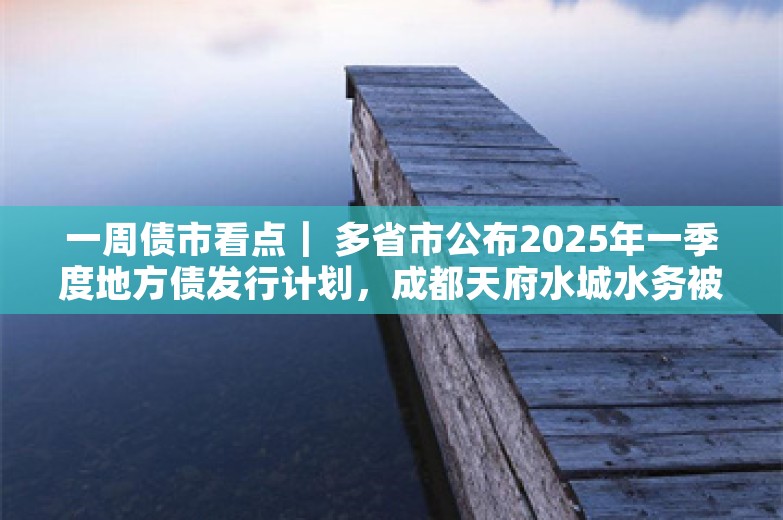 一周债市看点｜ 多省市公布2025年一季度地方债发行计划，成都天府水城水务被警示