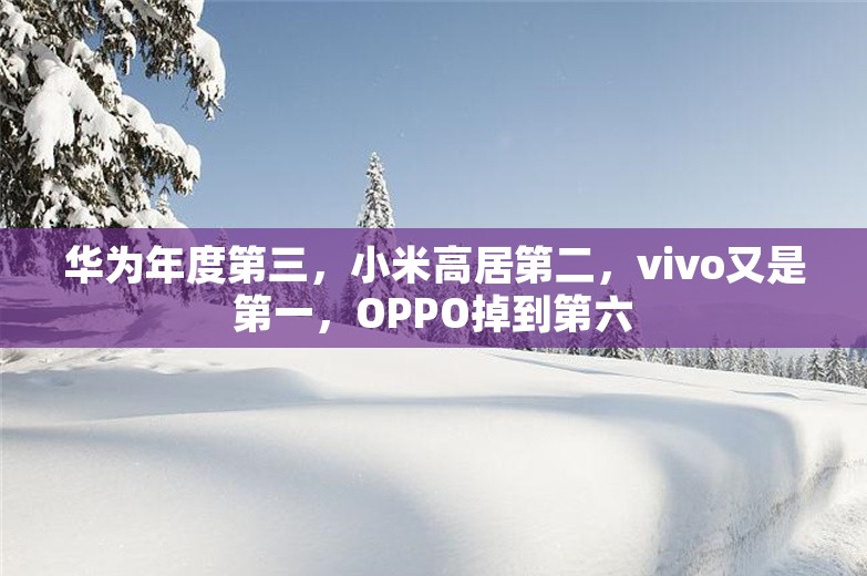 华为年度第三，小米高居第二，vivo又是第一，OPPO掉到第六