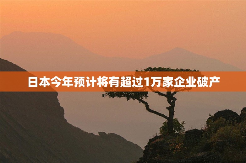 日本今年预计将有超过1万家企业破产