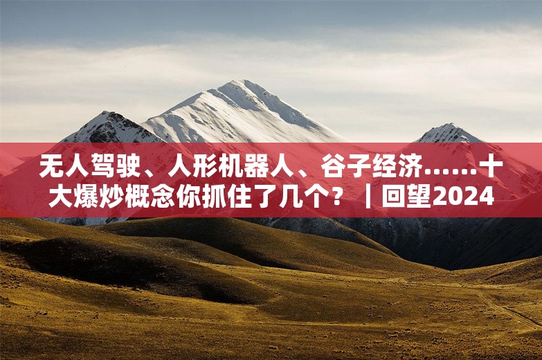 无人驾驶、人形机器人、谷子经济……十大爆炒概念你抓住了几个？｜回望2024⑫