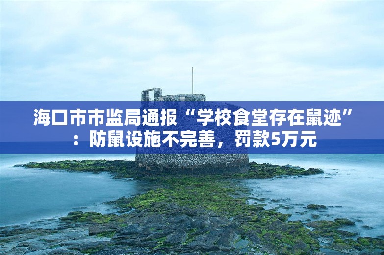 海口市市监局通报“学校食堂存在鼠迹”：防鼠设施不完善，罚款5万元